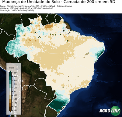 5 dias