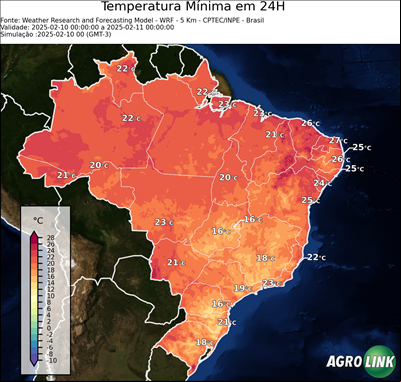 24 horas